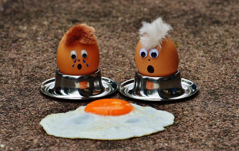 Backyard Egg Selling Laws in All 50 States