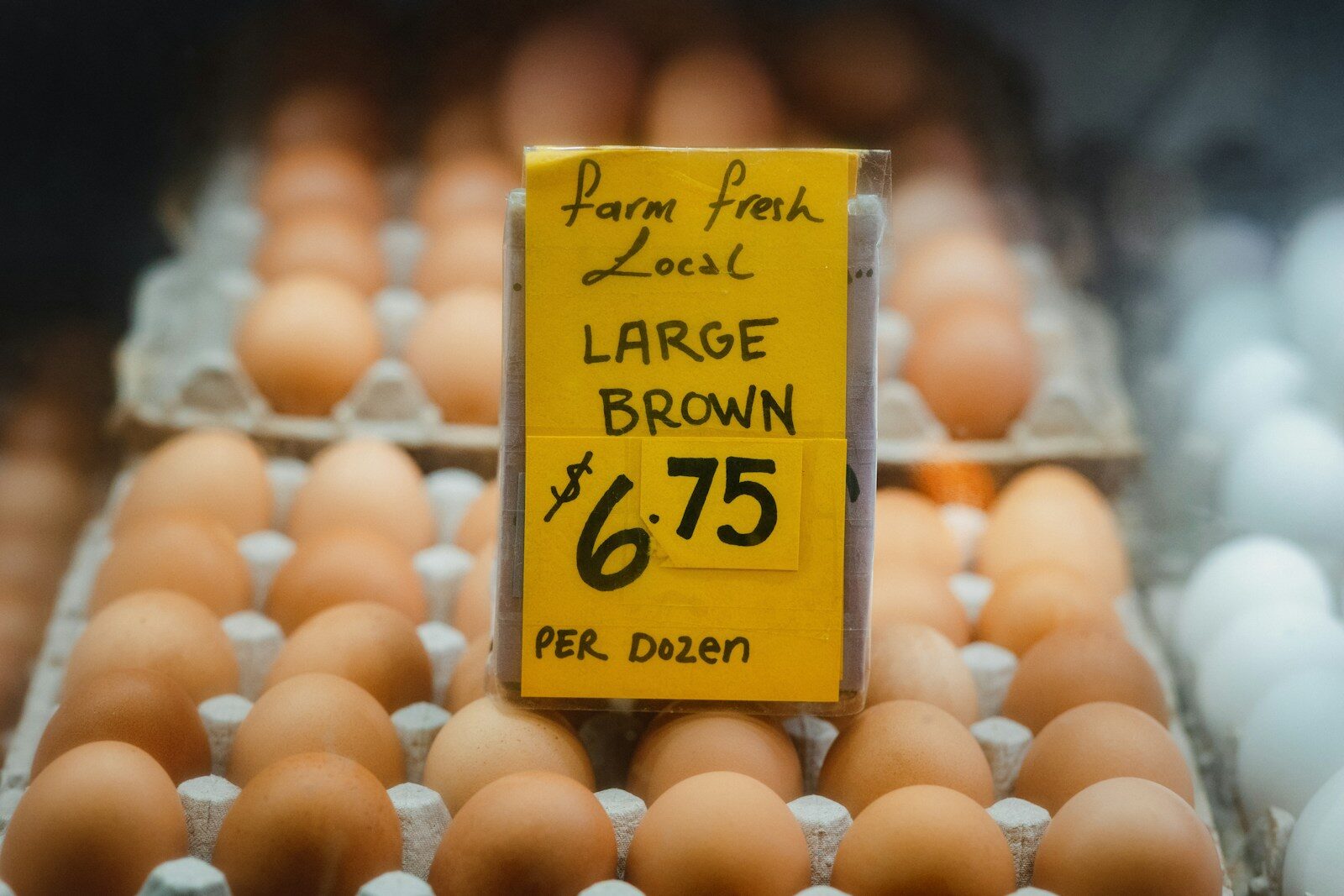 Backyard Egg Selling Laws in Maryland