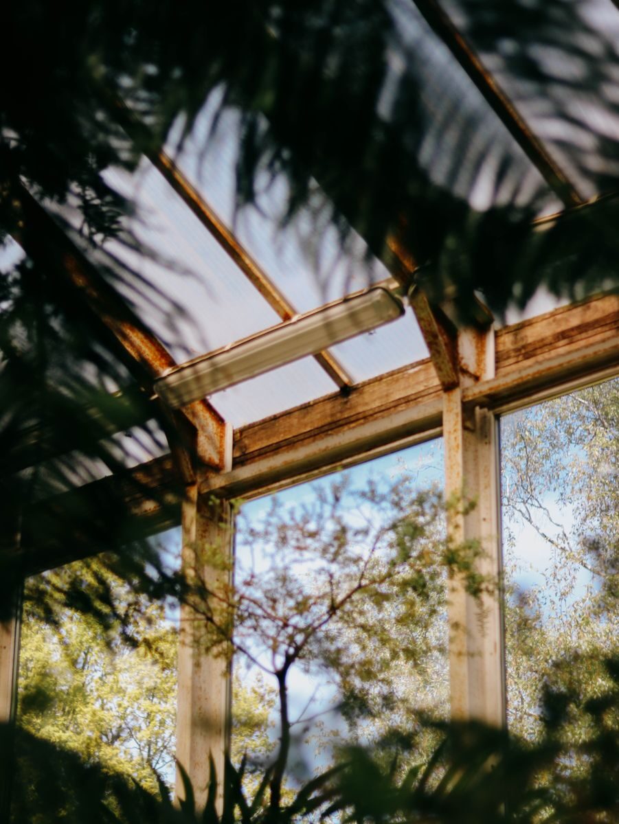 How to Build a Cold Frame for Winter Gardening