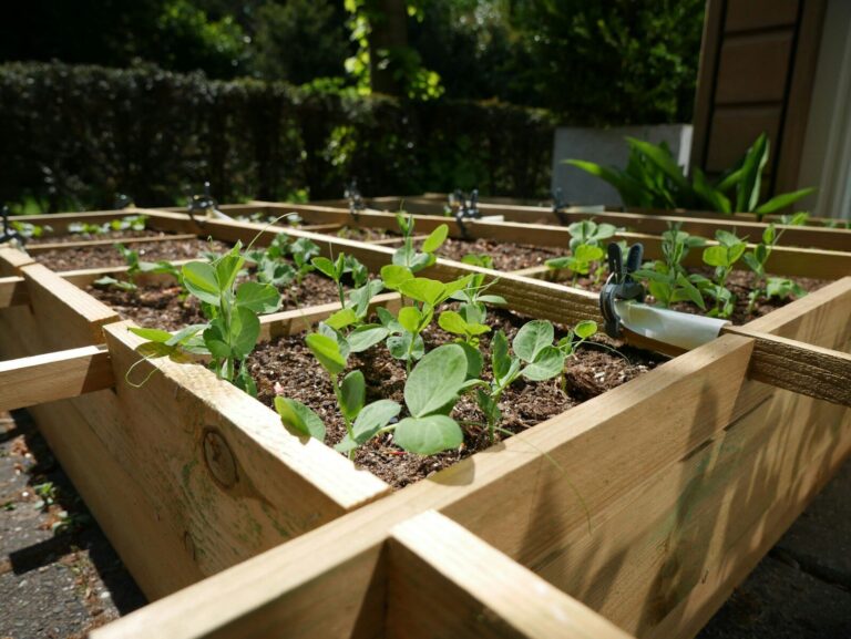 How to Build Raised Garden Beds: The Complete Step-by-Step Guide